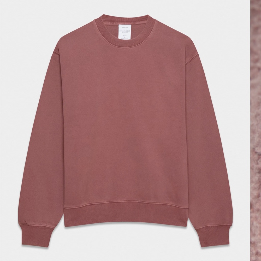 Aritzia Cozy Sweatfleece Perfect Crew Sweatshirt